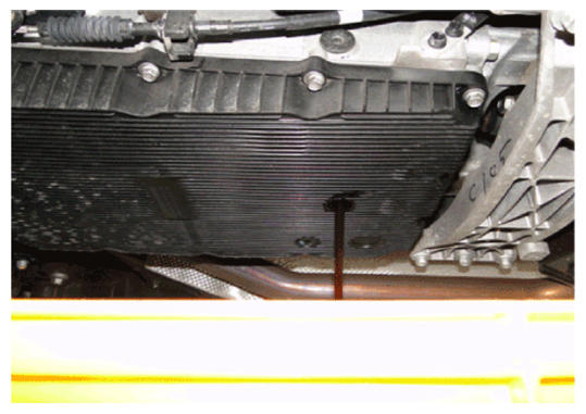 G14233394