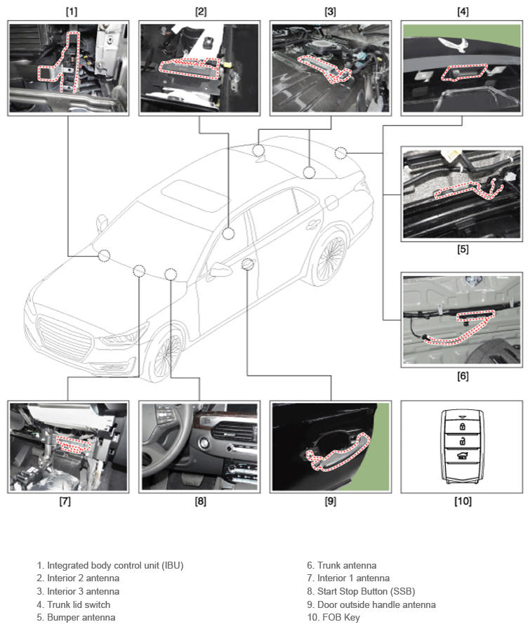 G14235908