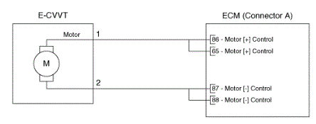 G14753266