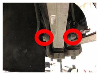 G14981382