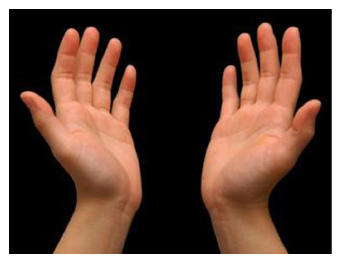 G15106418