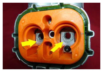 G15411407