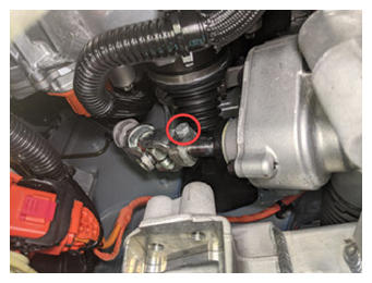 G15411564