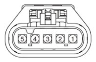 G15547479