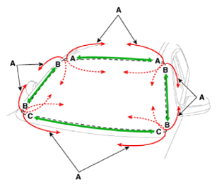 G15549746
