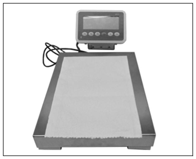 G15551419