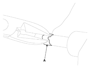 G15586852