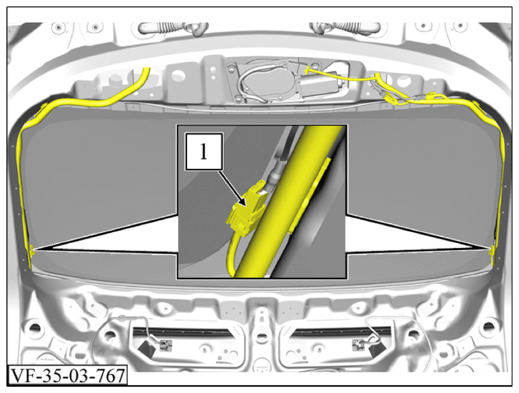 G15970384