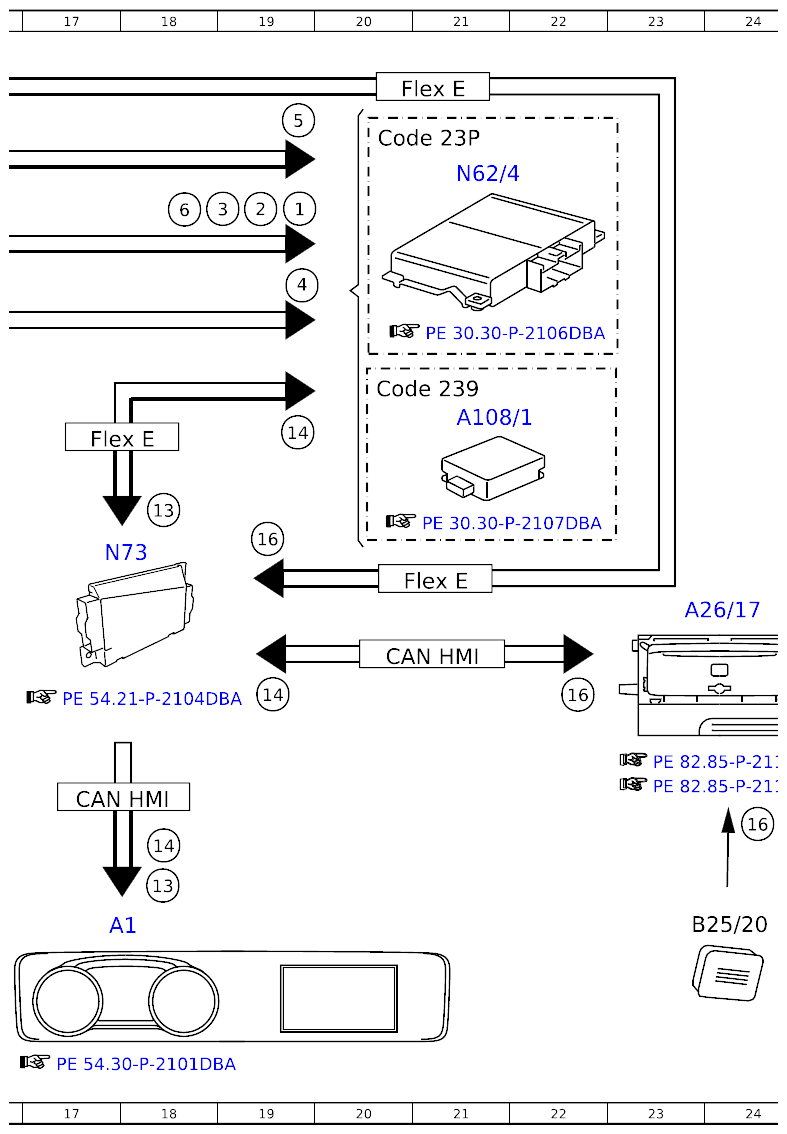 G16166398