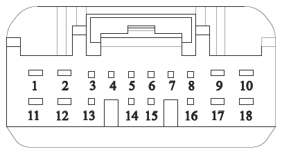 G16618824