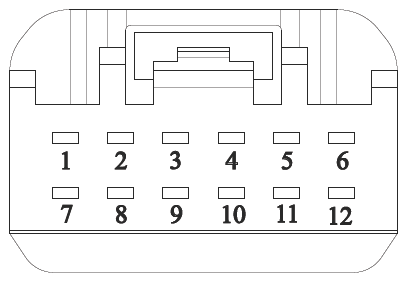 G16618889