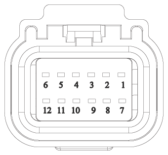 G16619092