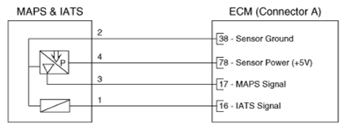 G16846912