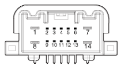 G16872905
