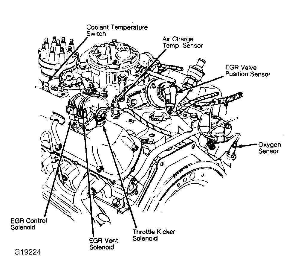 G19224