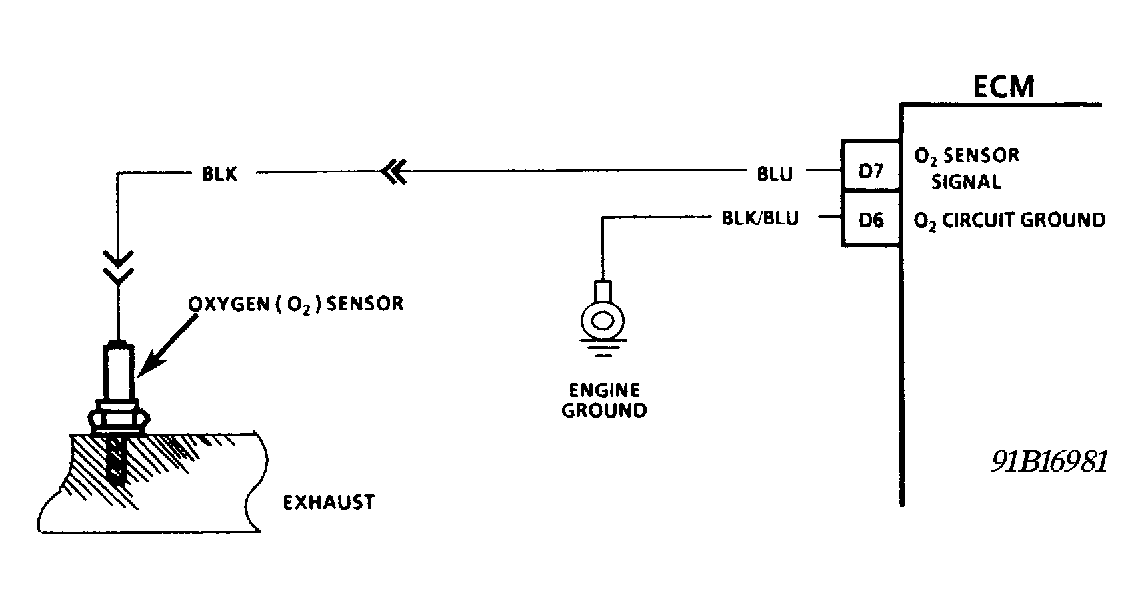 G91B16981
