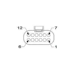 GCWD1009577