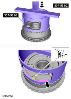 GFD341449
